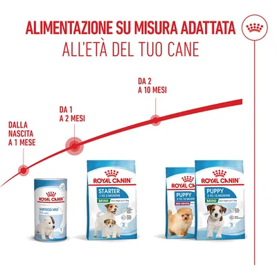 Royal Canin Mini Starter Mother & Babydog Crocchette per cane