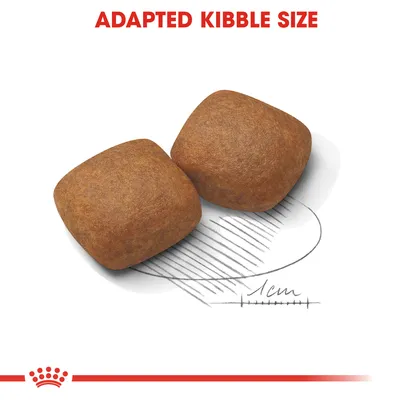 Kaksi nappulaa viivaston päällä, mitta-asteikko näyttää 1 cm. Yläreunassa teksti: ADAPTED KIBBLE SIZE.