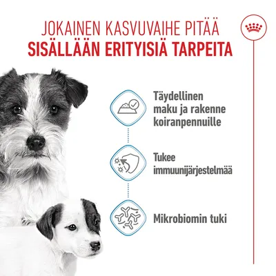 Royal Canin Starter Mother & Babydog Ultra Soft Mousse