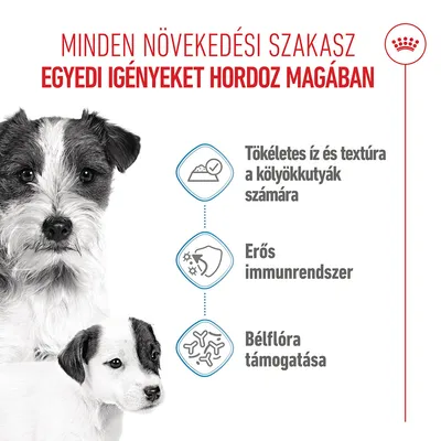 Royal Canin Starter Mother & Babydog Ultra Soft Mousse