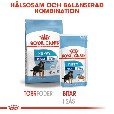 Royal Canin Puppy Maxi 26–44 kg, torrfoder och bitar i sås. Text: Hälsosam och balanserad kombination. Förpackningar med hundbild och produktnamn synliga.