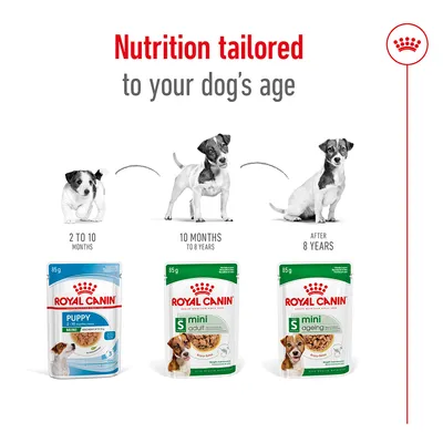 Diagram showing Royal Canin dog food pouches for different ages: puppy (2 to 10 months), adult (10 months to 8 years), and ageing (after 8 years). Nutrition tailored by age.