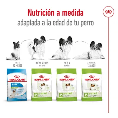Nutrición a medida Royal Canin para perros pequeños: Puppy 2–10 meses, X-Small Adult 10 meses–8 años, X-Small Adult 8+ 8–12 años, X-Small Ageing 12+ a partir de 12 años.