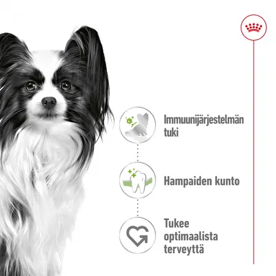 Immuunijärjestelmän tuki, hampaiden kunto, tukee optimaalista terveyttä – kolme näkyvää ominaisuutta koiranruoan mainoskuvassa, Royal Canin -brändi oikeassa yläkulmassa.