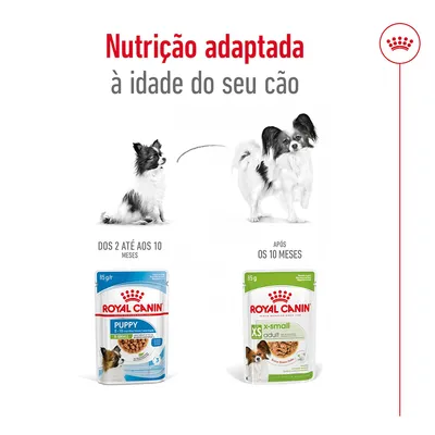 Nutrição adaptada à idade do seu cão. Royal Canin Puppy 2–10 meses e Royal Canin XS Adult após 10 meses, ambos em embalagens de 85 g para cães de porte muito pequeno.