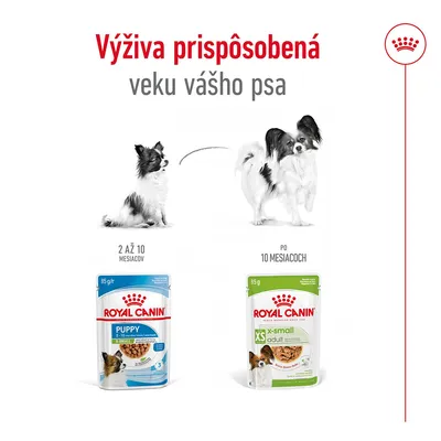 Royal Canin Puppy X-Small 2–10 mesiacov a Royal Canin XS X-Small Adult po 10 mesiacoch, výživa prispôsobená veku psa. Dva psy, balenia krmiva 85 g.