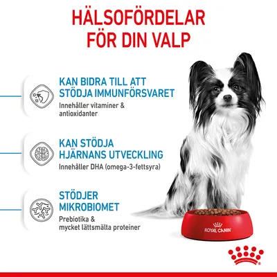 Hälsofördelar för din valp: kan bidra till att stödja immunförsvaret, hjärnans utveckling och mikrobiomet. Royal Canin-skål med foder och liten svartvit hund syns.
