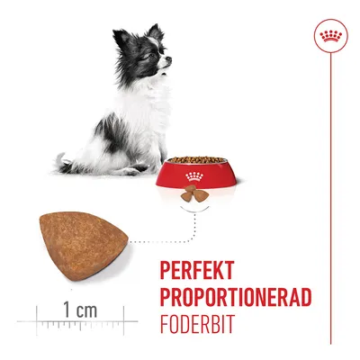 Liten svartvit hund bredvid röd matskål med foder, förstoring av en trekantig foderbit, text: 'Perfekt proportionerad foderbit', storleksangivelse 1 cm.