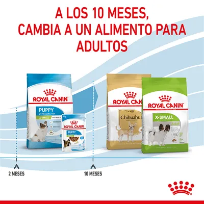 Recomendación: a los 10 meses, cambiar de Royal Canin Puppy X-Small a Royal Canin Adult Chihuahua o X-Small Adult. Indicación de uso desde 2 hasta 10 meses.