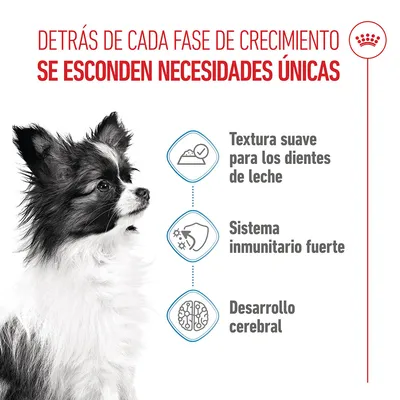 Royal Canin X-Small Puppy en salsa Royal Canin X-Small Puppy en salsa