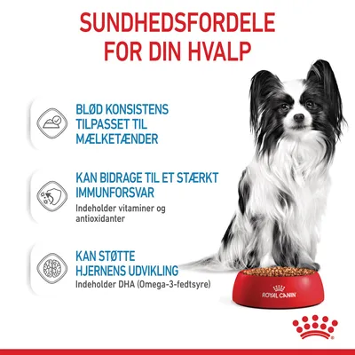 Sundhedsfordele for din hvalp: blød konsistens til mælketænder, kan bidrage til stærkt immunforsvar med vitaminer og antioxidanter, kan støtte hjernens udvikling med DHA. Royal Canin skål.