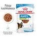 Royal Canin X-Small Puppy kastikkeessa