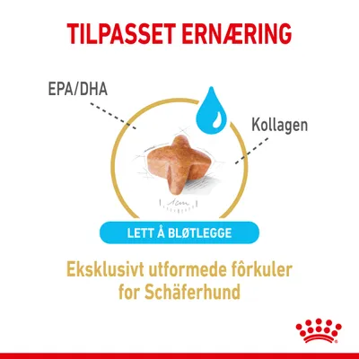 Royal Canin German Shepherd Adult 5+