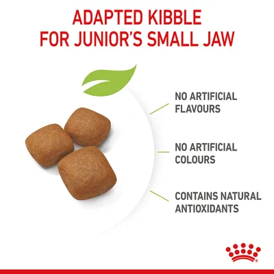 Adapted kibble for junior’s small jaw. No artificial flavours, no artificial colours, contains natural antioxidants.