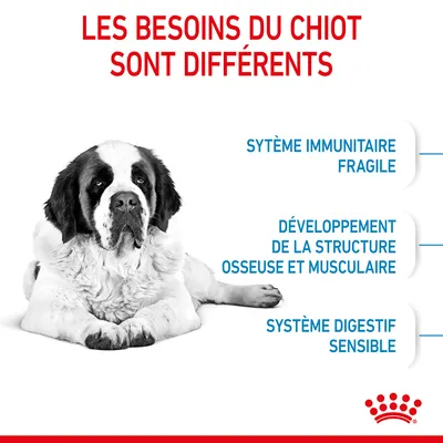 Texte : Les besoins du chiot sont différents. Système immunitaire fragile, développement de la structure osseuse et musculaire, système digestif sensible.