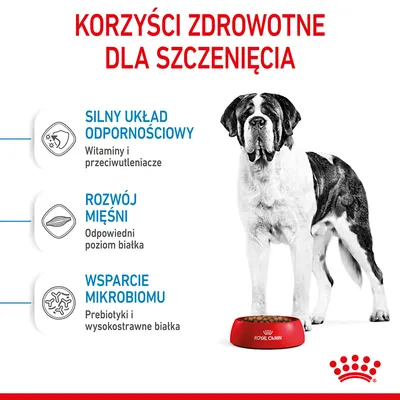 Korzyści zdrowotne dla szczenięcia: silny układ odpornościowy – witaminy i przeciwutleniacze, rozwój mięśni – odpowiedni poziom białka, wsparcie mikrobiomu – prebiotyki i wysokostrawne białka.