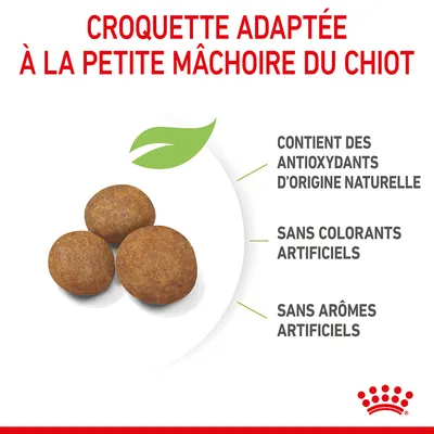Croquette adaptée à la petite mâchoire du chiot, contient des antioxydants d’origine naturelle, sans colorants ni arômes artificiels. Trois croquettes visibles.