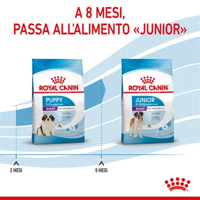 Royal Canin Puppy Giant 2–8 mesi e Royal Canin Junior Giant 8–18/24 mesi. Testo: A 8 mesi, passa all’alimento «Junior». Indicazioni: 2 mesi, 8 mesi.