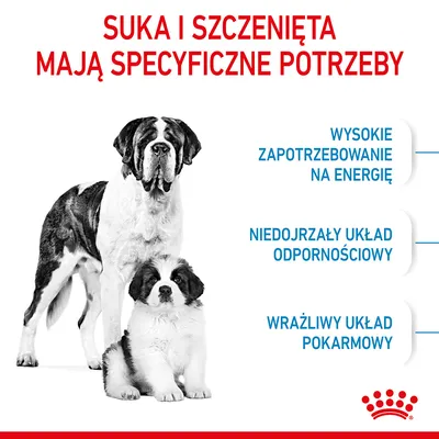 Suka i szczenięta mają specyficzne potrzeby: wysokie zapotrzebowanie na energię, niedojrzały układ odpornościowy, wrażliwy układ pokarmowy. Royal Canin. Suka i szczenięta mają specyficzne potrzeby: wysokie zapotrzebowanie na energię, niedojrzały układ odpornościowy, wrażliwy układ pokarmowy. Royal Canin.