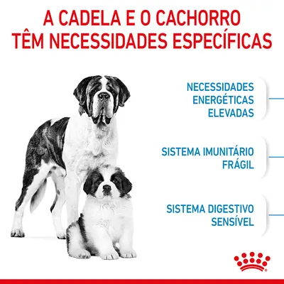 A cadela e o cachorro têm necessidades específicas: necessidades energéticas elevadas, sistema imunitário frágil, sistema digestivo sensível.