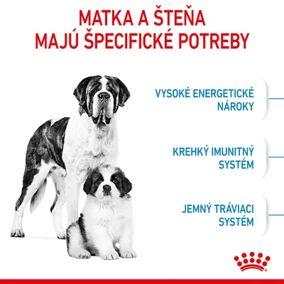 Matka a šteňa majú špecifické potreby: vysoké energetické nároky, krehký imunitný systém, jemný tráviaci systém. Zobrazený dospelý pes a šteňa.