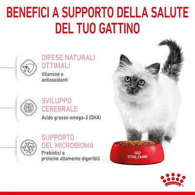 Benefici a supporto della salute del tuo gattino: difese naturali ottimali, sviluppo cerebrale, supporto del microbioma. Royal Canin. Vitamine, antiossidanti, omega-3 (DHA), prebiotici.