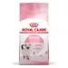 Royal Canin Kitten