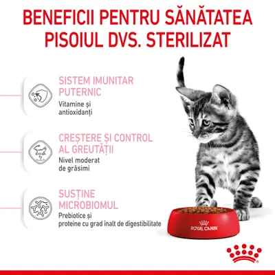 Beneficii pentru sănătatea pisoilor sterilizați: sistem imunitar puternic, creștere și control al greutății, susține microbiomul. Royal Canin. Text vizibil pe imagine.