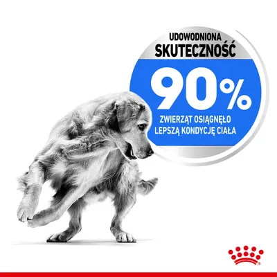 Udowodniona skuteczność 90% zwierząt osiągnęło lepszą kondycję ciała