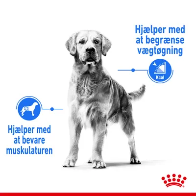 Hjælper med at bevare muskulaturen. Hjælper med at begrænse vægtøgning. Kcal. Illustration af hund og Royal Canin krone nederst.