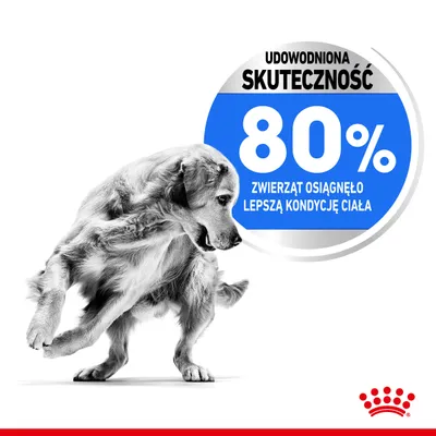 Royal Canin Medium Light Weight Care