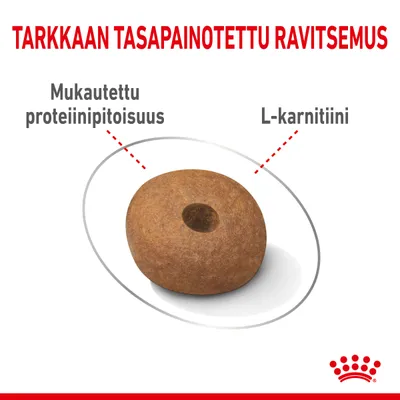 Koiran nappula, tekstit: 'TARKKAAN TASAPAINOTETTU RAVITSEMUS', 'Mukautettu proteiinipitoisuus', 'L-karnitiini', Royal Canin -logo alareunassa.