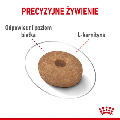 Precyzyjne żywienie. Odpowiedni poziom białka, L-karnityna. Zdjęcie pojedynczego kawałka karmy Royal Canin.