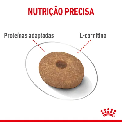 NUTRIÇÃO PRECISA. Croquete de ração com indicações: 'Proteínas adaptadas' e 'L-carnitina'. Marca Royal Canin visível no canto inferior direito.