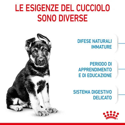 Testo: Le esigenze del cucciolo sono diverse. Difese naturali immature, periodo di apprendimento e di educazione, sistema digestivo delicato. Immagine di un cucciolo.