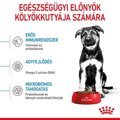 Egészségügyi előnyök kölyökkutyáknak: erős immunrendszer (vitaminok, antioxidánsok), agyfejlődés (omega-3 zsírsav/DHA), mikrobiomos támogatás (prebiotikumok, fehérjék). Royal Canin tál.