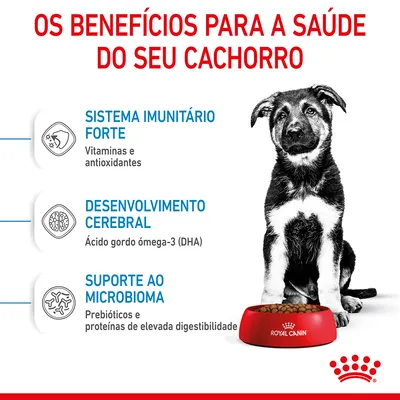 Os benefícios para a saúde do seu cachorro: sistema imunitário forte, desenvolvimento cerebral, suporte ao microbioma. Royal Canin. Texto em português.