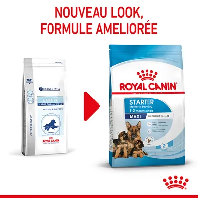 Nouveau look, formule améliorée : ancien emballage Royal Canin Pediatric Starter Large Dog à gauche, nouveau sac Royal Canin Starter Maxi Mother & Babydog 1–2 mois à droite.