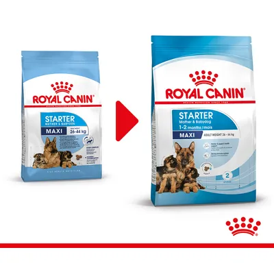 To poser Royal Canin Starter Mother & Babydog Maxi, voksenvægt 26–44 kg. Ny emballage til højre med tekst: 1–2 months/mois, billede af hund og hvalpe på begge pakker.
