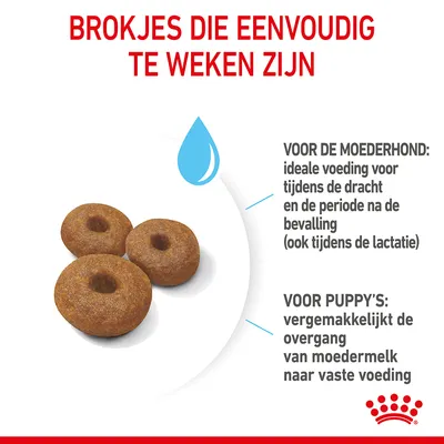Brokjes die eenvoudig te weken zijn. Voor de moederhond: ideale voeding tijdens dracht en na bevalling (ook lactatie). Voor puppy’s: vergemakkelijkt overgang van moedermelk naar vaste voeding.
