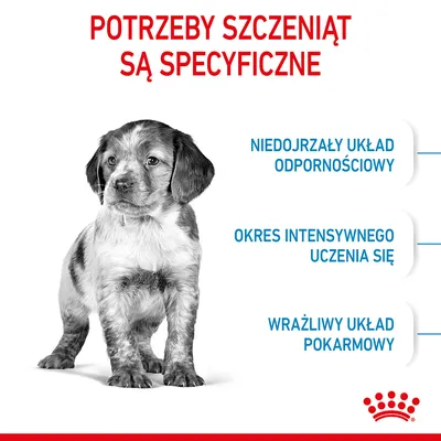 Potrzeby szczeniąt są specyficzne: niedojrzały układ odpornościowy, okres intensywnego uczenia się, wrażliwy układ pokarmowy. Royal Canin.
