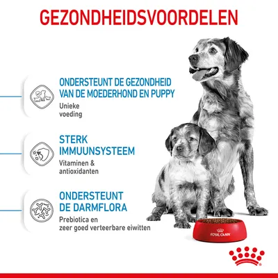Gezondheidsvoordelen: ondersteunt de gezondheid van de moederhond en puppy, sterk immuunsysteem, ondersteunt de darmflora. Royal Canin voerbak zichtbaar.