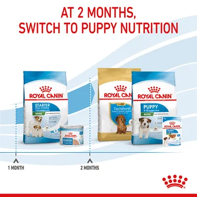Feeding guide showing to switch from Royal Canin Starter food at 1 month to Royal Canin Puppy nutrition at 2 months, with product images and timeline.