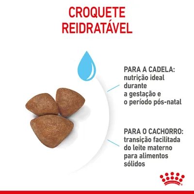 Croquete reidratável. Para a cadela: nutrição ideal durante a gestação e o período pós-natal. Para o cachorro: transição facilitada do leite materno para alimentos sólidos.