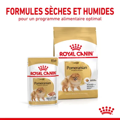 ROYAL CANIN ADULT Pomeranian, sachet 85 g et sac de croquettes, formules sèches et humides pour programme alimentaire optimal. Texte visible : Bone & Joint Support.
