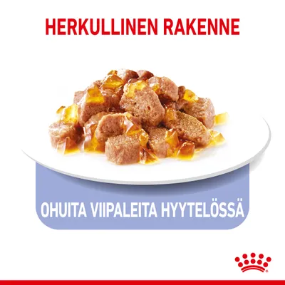 Herkullinen rakenne. Ohuita viipaleita hyytelössä. Lautasella lihapaloja ja hyytelöä. Royal Canin -brändi näkyvissä alareunassa.