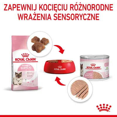 Karma Royal Canin Mother & Babycat dla kociąt 1–4 miesiące: opakowanie suchej karmy, puszka mokrej karmy, miska z karmą, tekst: Zapewnij kocięciu różnorodne wrażenia sensoryczne.