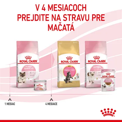 Royal Canin Mother & Babycat krmivo pre mačiatka 1–4 mesiace, Royal Canin Maine Coon Kitten a Kitten od 4 mesiacov. Text: V 4 mesiacoch prejdite na stravu pre mačatá.
