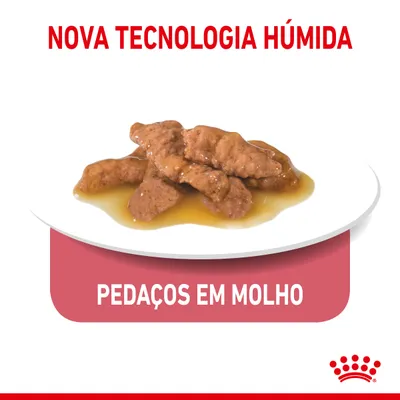 Nova tecnologia húmida. Pedaços em molho apresentados num prato branco. Marca Royal Canin.