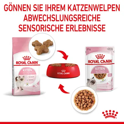 Royal Canin Kitten bis 12 Monate. Abwechslungsreiche sensorische Erlebnisse mit Trocken- und Nassfutter für Katzenwelpen. Verpackungen und Futterschale abgebildet.